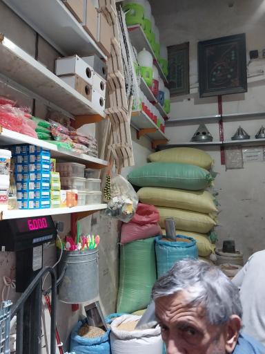 عکس دان پرندگان علی قوچانی