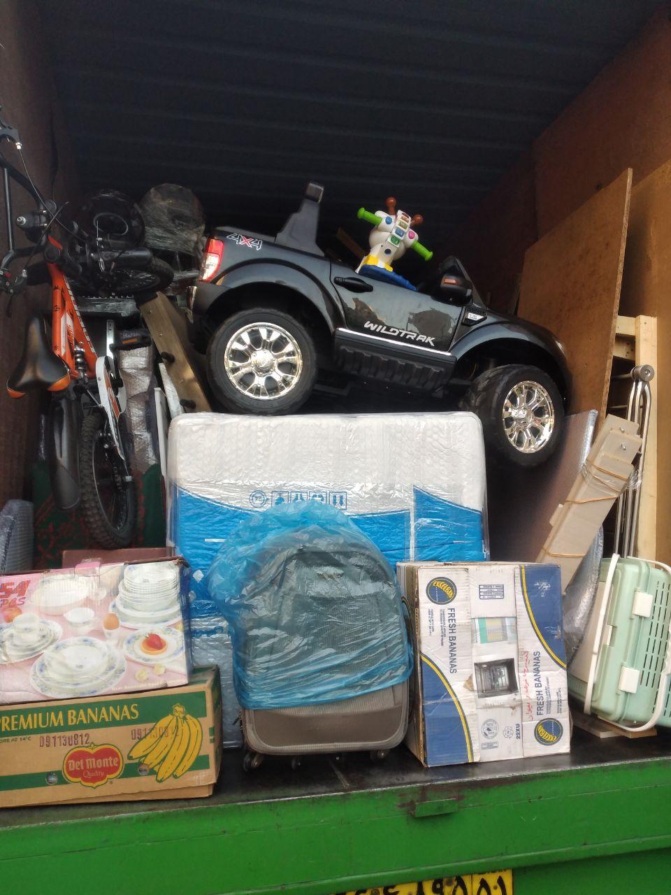 عکس باربری تیموری