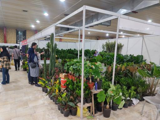 عکس گلخانه تایماز