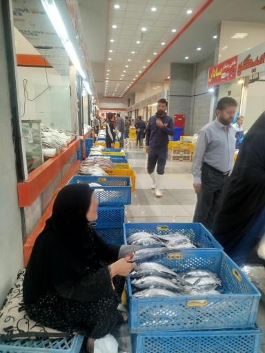 عکس بازار پروتئین شیراز