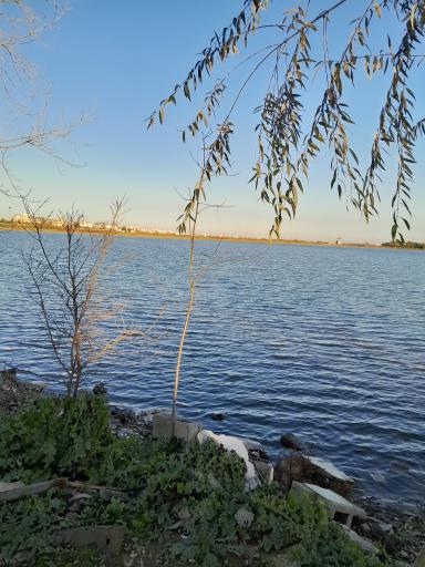 عکس تالاب شیرا