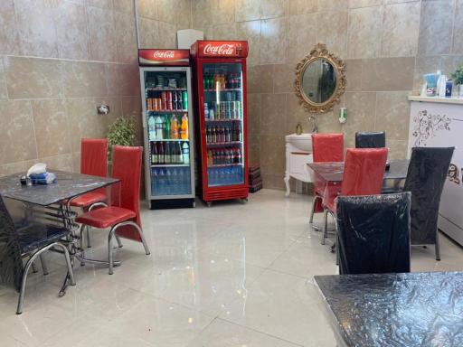 عکس کباب متین