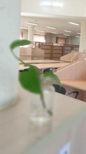 پانسیون مطالعاتی دخترانه اندیشه