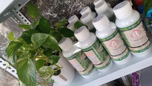 عکس کافه گل هیوا