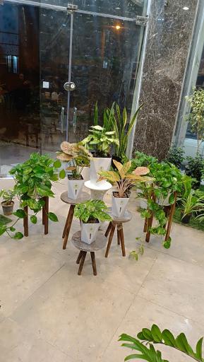 عکس کافه گل هیوا