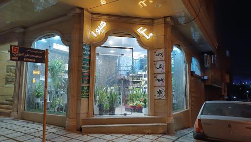 عکس کافه گل هیوا