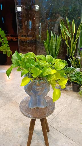 عکس کافه گل هیوا