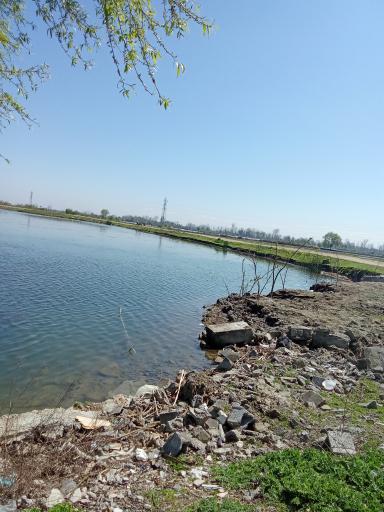 عکس تالاب شیرا
