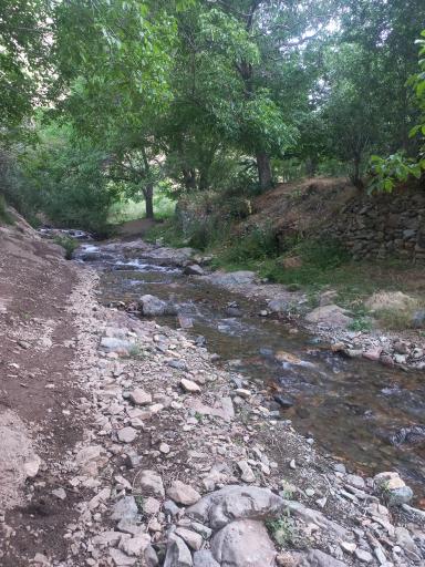 عکس سنج