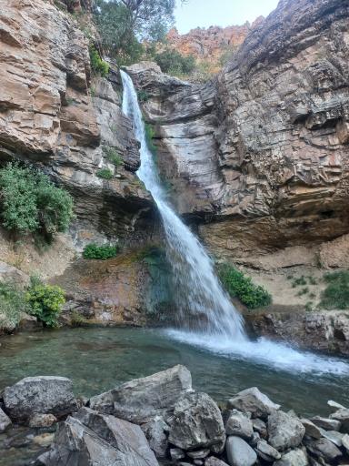 عکس سنج