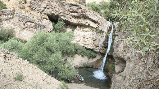 عکس سنج