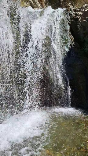 عکس سنج