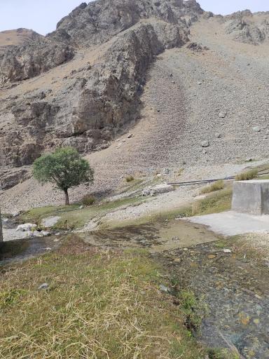 عکس سنج
