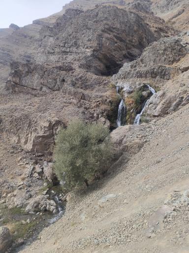 عکس سنج