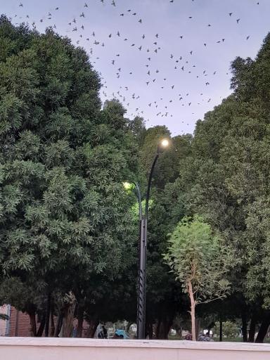 عکس گلزار شهدا رودبار جنوب 