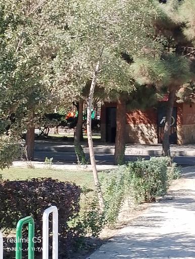 سرویس بهداشتی