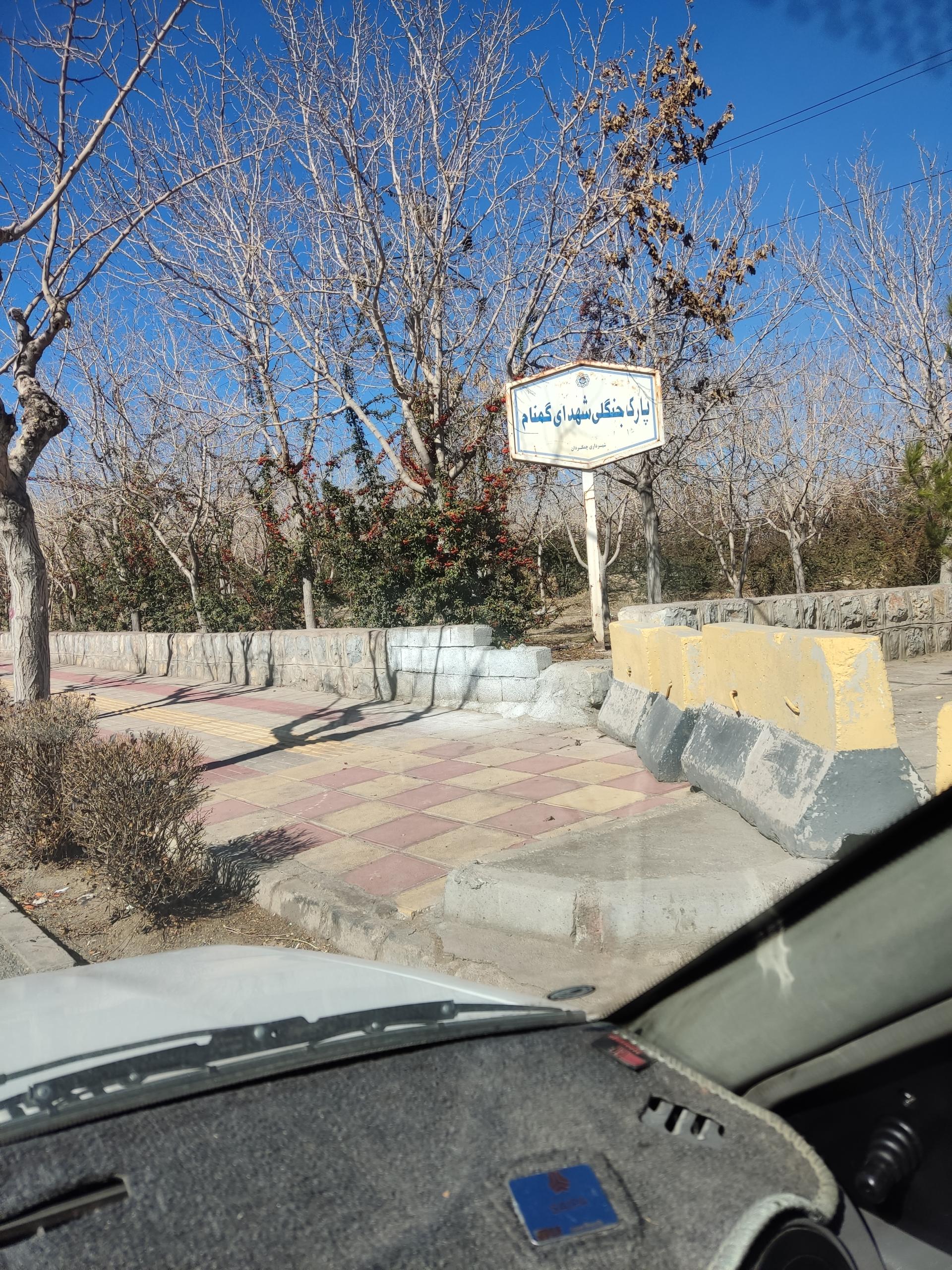 عکس پارک جنگلی شهدای گمنام چمگردان