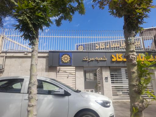 عکس بیمه پاسارگاد