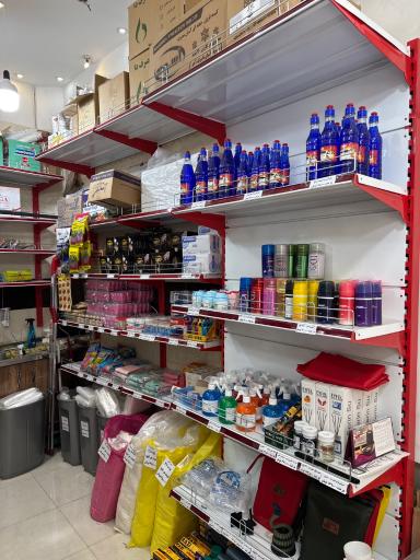 عکس یکبار مصرف سادات