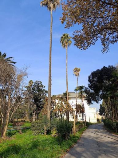 کاخ سابق رضا شاه پهلوی