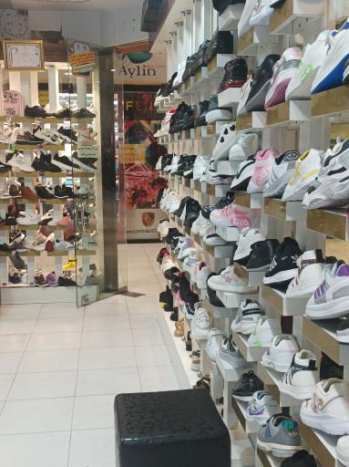 عکس کفش پاناز