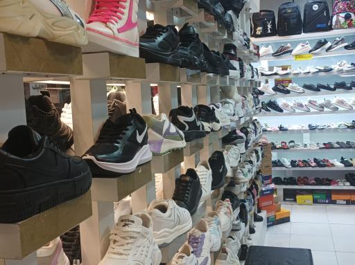 عکس کفش پاناز