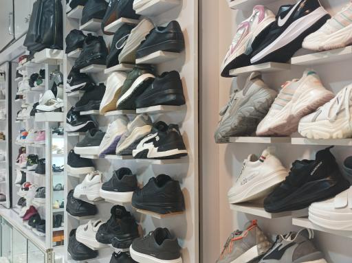 عکس کفش پاناز