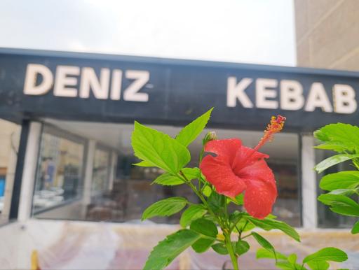 عکس دنیز کباب