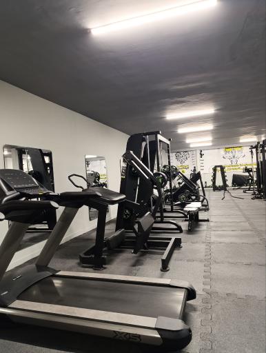 عکس باشگاه بدنسازی بانوان میرکا 