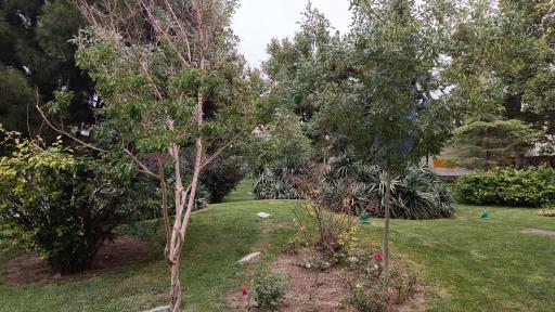 عکس بوستان ادبیات