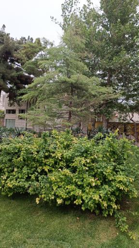 عکس بوستان ادبیات