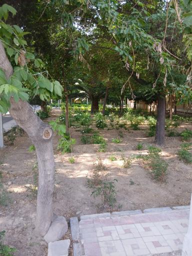 عکس پارک الهادی