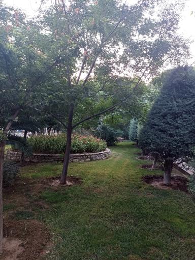 عکس پارک الهادی