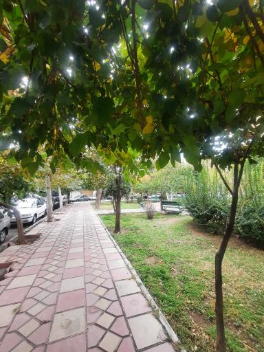 عکس میدان هفتاد و هفتم