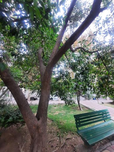 عکس میدان ۷۷