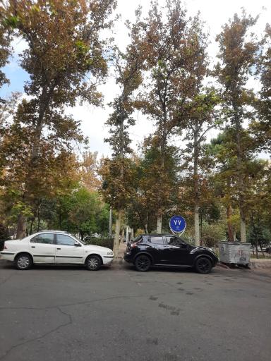 عکس میدان ۷۷