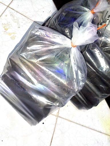 عکس بورس سیگار گلدن اسموک