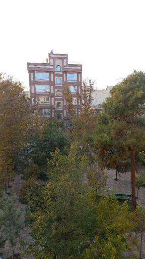 عکس میدان ۷۷