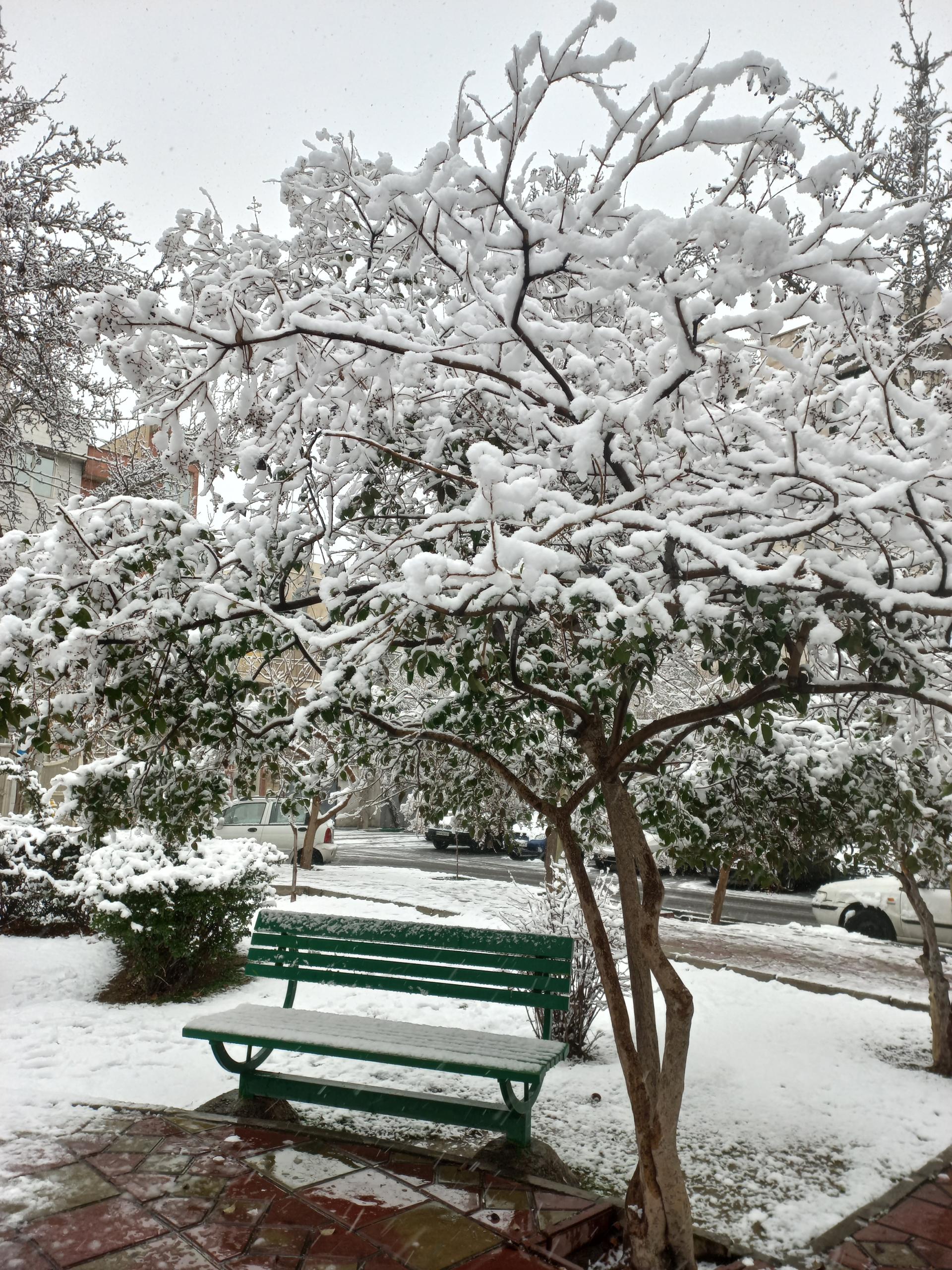 عکس میدان هفتاد و هفتم