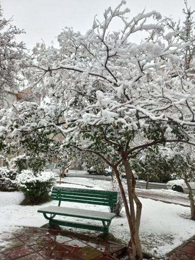 عکس میدان ۷۷