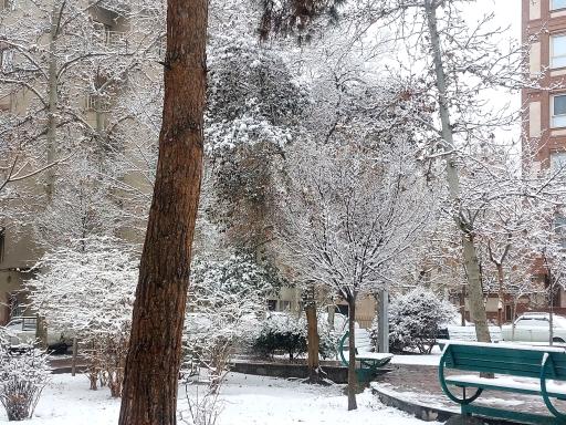 عکس میدان هفتاد و هفتم