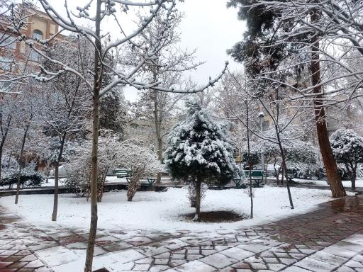 عکس میدان هفتاد و هفتم