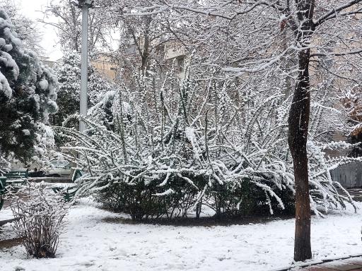 عکس میدان هفتاد و هفتم