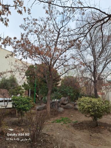 عکس بوستان معلولین پژوهش