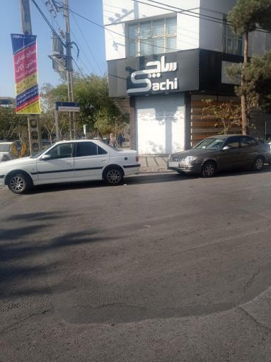 عکس پروتئین ساچی