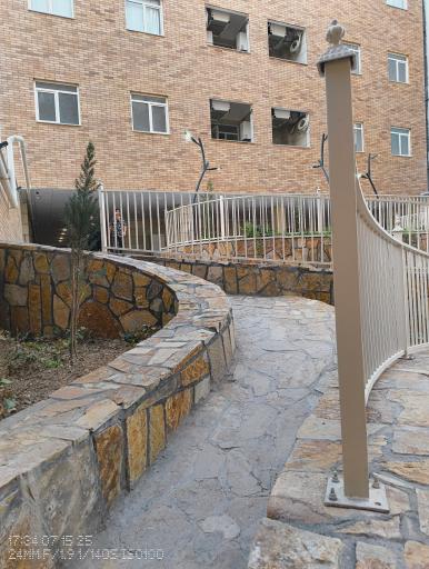 عکس مجتمع میخک ۲