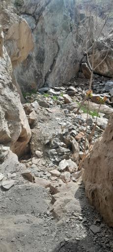 عکس غار پروانه‌ها