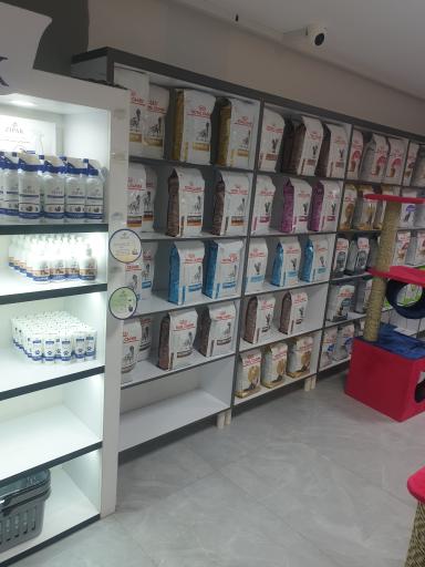عکس پت شاپ ارم