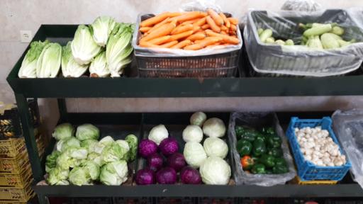 عکس سوپر میوه قارداش