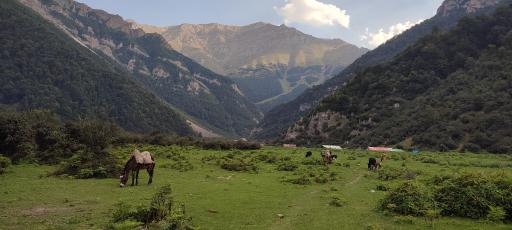 عکس دشت دریاسر